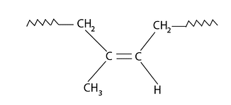 gen_natural-rubber-structure_02-14